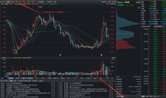 如何查到对方的股票账号