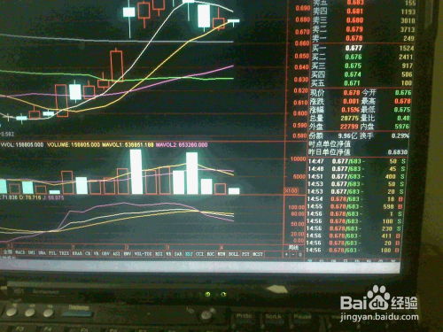 股票型黄金基金行情如何