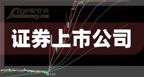 证券公司怎么给股民分类