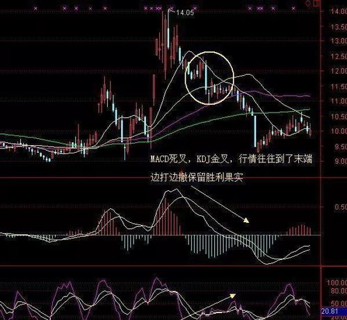 股票如何判断macd