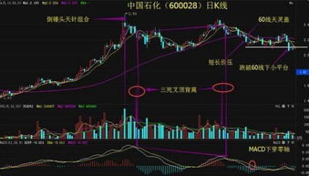 股票在牛市中如何炒好