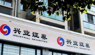 兴业证券怎么赚钱 兴业证券怎么赚钱