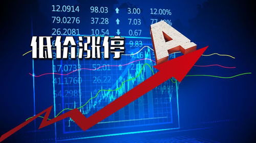 股票投资者如何进阶创业 股票投资者如何进阶创业