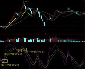 如何判断成长股票涨跌