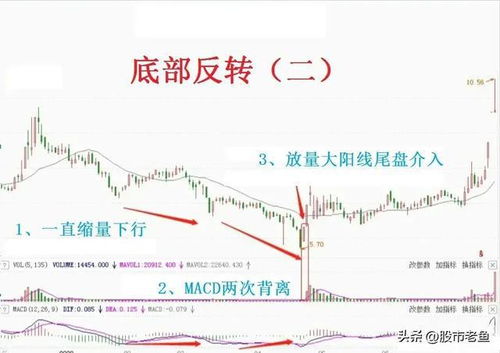 股票如何辨识