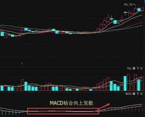 股票如何看庄家资金流入 股票如何看庄家资金流入