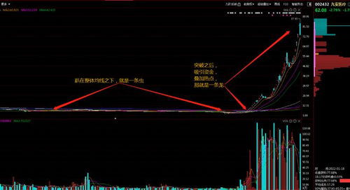 配股票如何操作 配股票如何操作