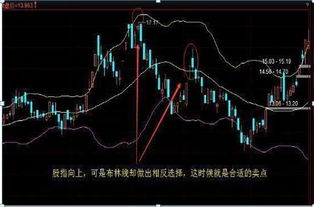 配股票如何操作 配股票如何操作