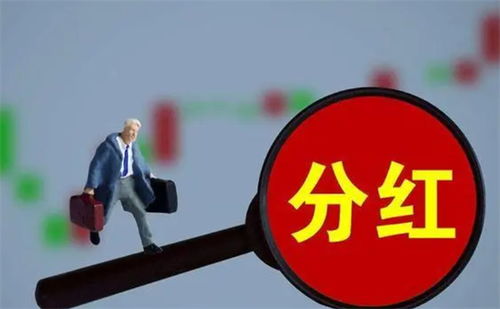 股票如何投资才有分红啊