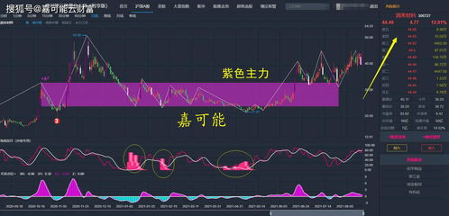 东方财富股票后期如何走