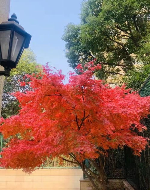 股票如何防止过山车