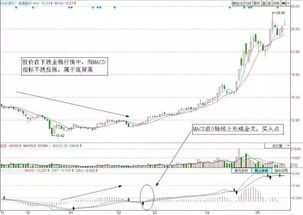 如何学会股票顿悟