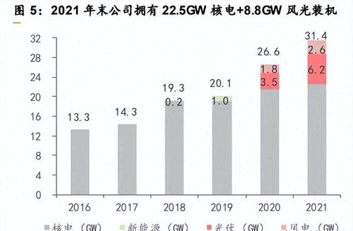 中国核电股票如何