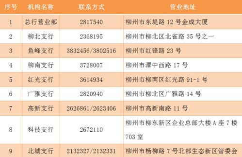怎么申请证券抵押贷款 怎么申请证券抵押贷款