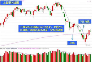 如何设定股票投资