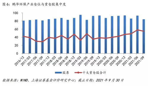 如何保持股票稳健发展