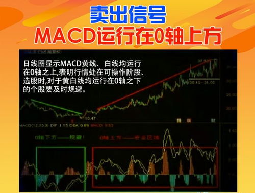 只有20元如何投资股票