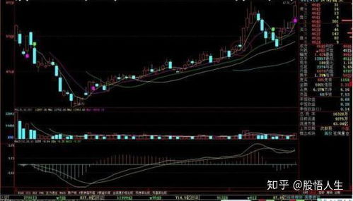 只有20元如何投资股票