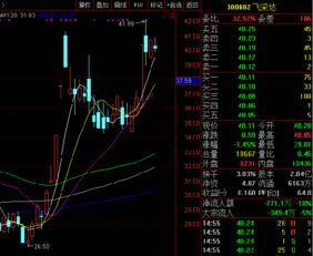 证券公司股东占比怎么算