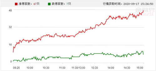 次新股中泰证券怎么样买