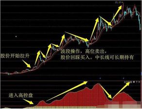 股票如何当主力