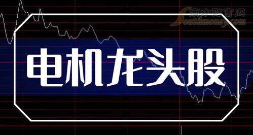 如何看电动机龙头股票 如何看电动机龙头股票