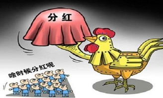 如何避开股票分红税