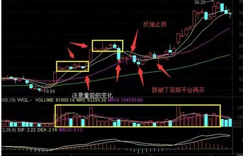 如何看现阶段的股票走势