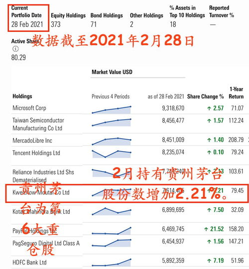 中信证券账号怎么填不了 中信证券账号怎么填不了