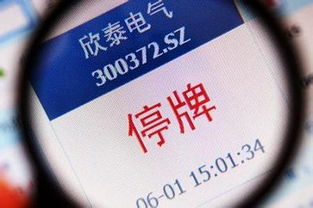 证券被冻结怎么处理