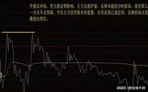 如何追强势涨停股票