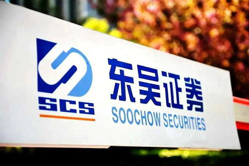 怎么查东吴证券