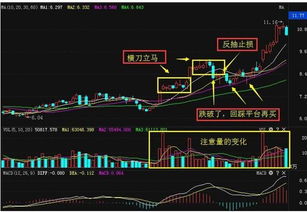 如何找股票从来没跌过的