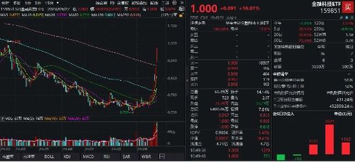 超过股票的股票如何做账