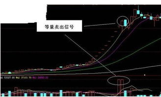股票如何进行卖出交易 股票如何进行卖出交易
