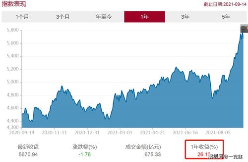 中国证券怎么入手 中国证券怎么入手