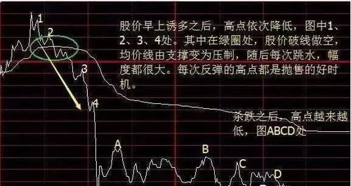 新手不知道如何选股票号
