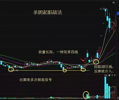如何挑选股票的金钱和股票