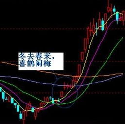 如何验证自己的股票