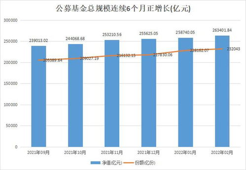 如何开好股票基金公司 如何开好股票基金公司