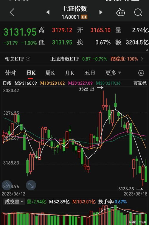 股票如何炒新