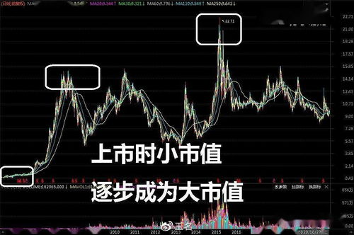 股票如何炒新