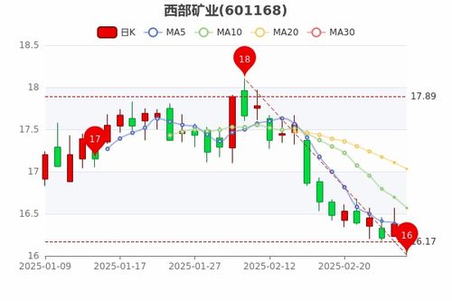 西部矿业股票如何