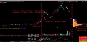 如何学习股票从哪里开始