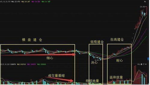 如何寻找建仓股票