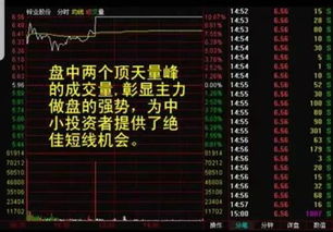 个人如何找到股票