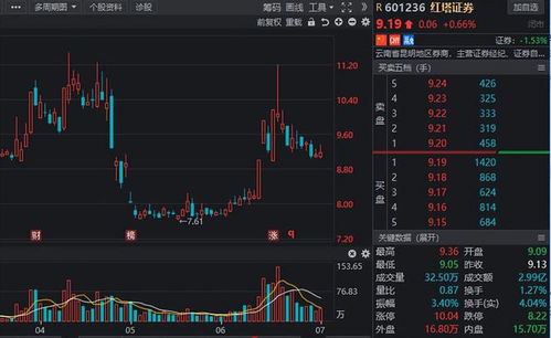 红塔证券怎么配股票