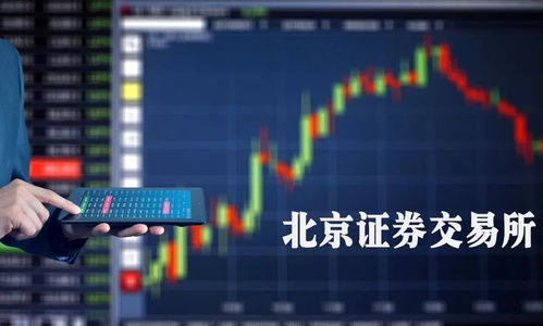 微头条如何介绍股票涨跌