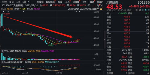 股票如何上财报