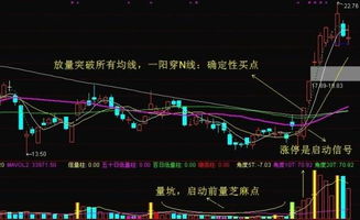 如何在股票市场赚到钱呢 如何在股票市场赚到钱呢